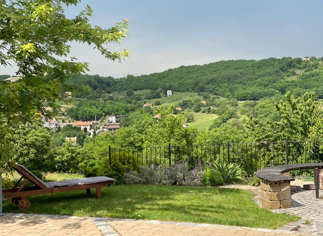 Vass-Villa Vendeghaz Szekszárd Exteriér fotografie