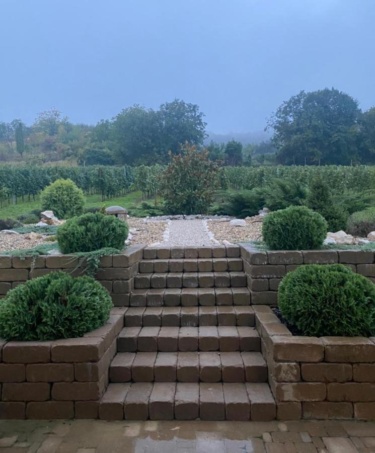 Vass-Villa Vendeghaz Szekszárd Exteriér fotografie