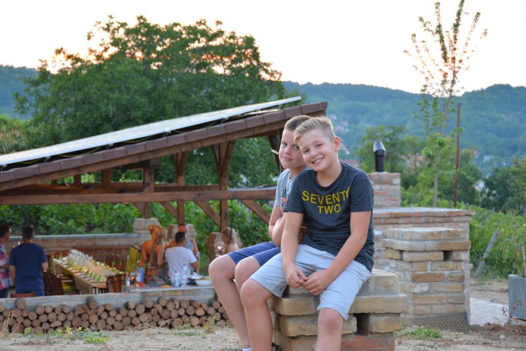 Vass-Villa Vendeghaz Szekszárd Exteriér fotografie